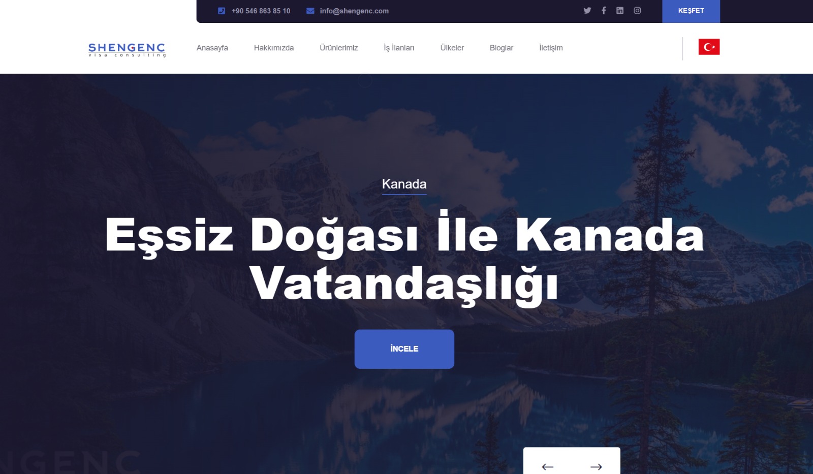 Trending web code settings for a nice portfolio